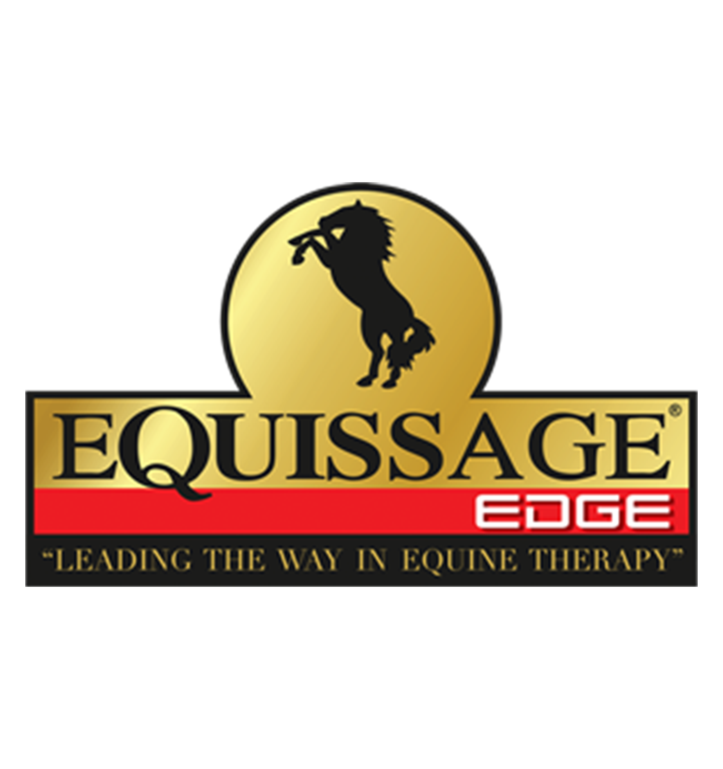 Equissage