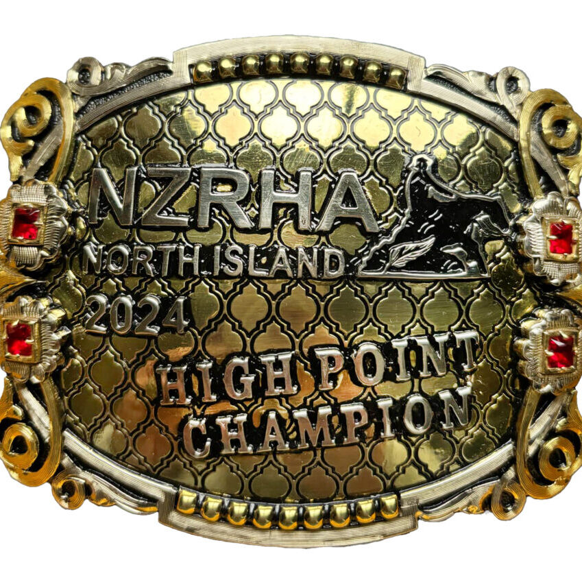 High point NI buckle