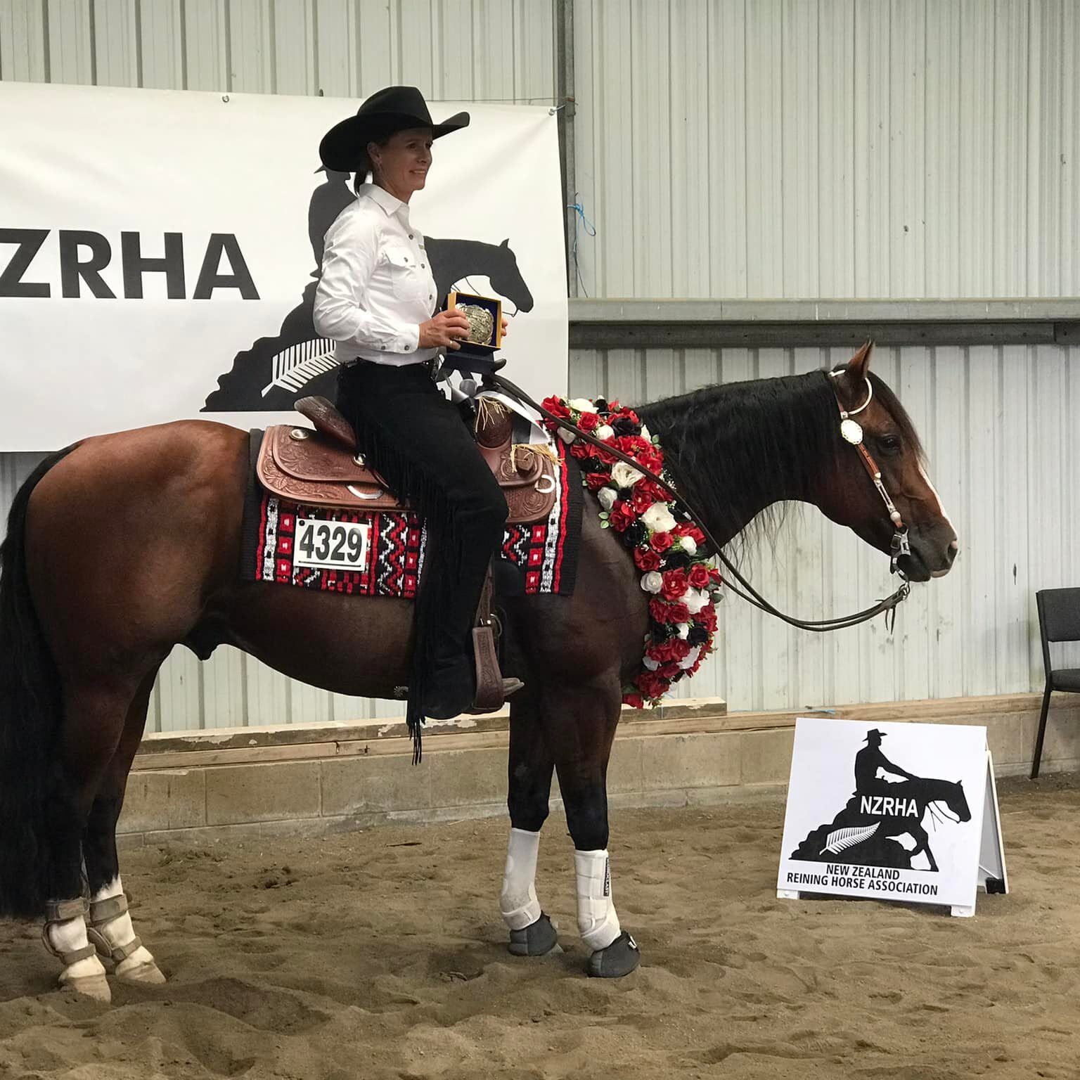 'Shiney Lil Destiny'  Shown By Catherine Ladd | Owned by Peachy Scahill (Open Ranch Riding 2022)